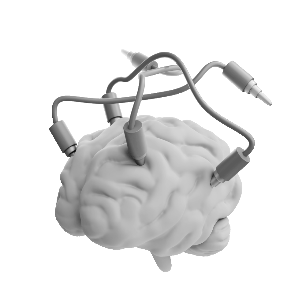brain